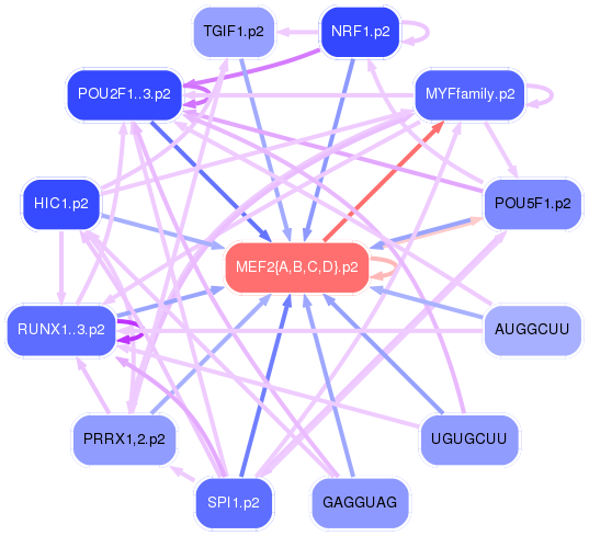 PNG image of the network
